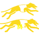  7M7